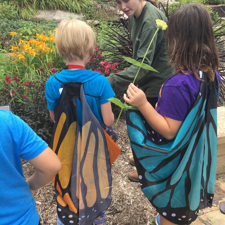 Homeschool Art: Spring Semester, 5-8